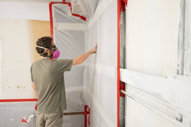 Best Biohazard Mold Removal  in Kissimmee, FL