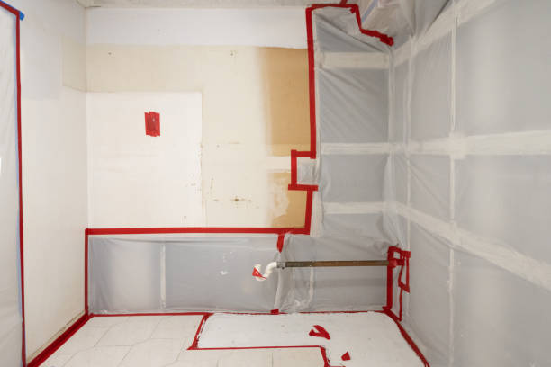 Best Crawl Space Mold Remediation  in Kissimmee, FL