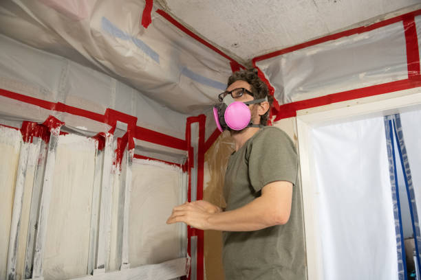 Best Airborne Mold Testing  in Kissimmee, FL